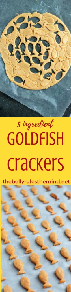 Why you need to ditch the store bought Goldfish cracker and make your own. This 5 ingredient recipe is kid approved an an absolute hit. #goldfish #cracker #recipe #homemade #healthy #snack #kidapproved #kidfriendly @bellyrulesdmind https://www.thebellyrulesthemind.net