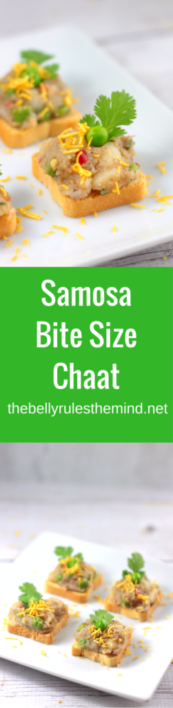 If you are looking for a quick & easy appetizer, give these bite size samosa chaat a try! They are the perfect individual bite sized snack with tongue tickling flavors | www.thebellyrulesthemind.net
