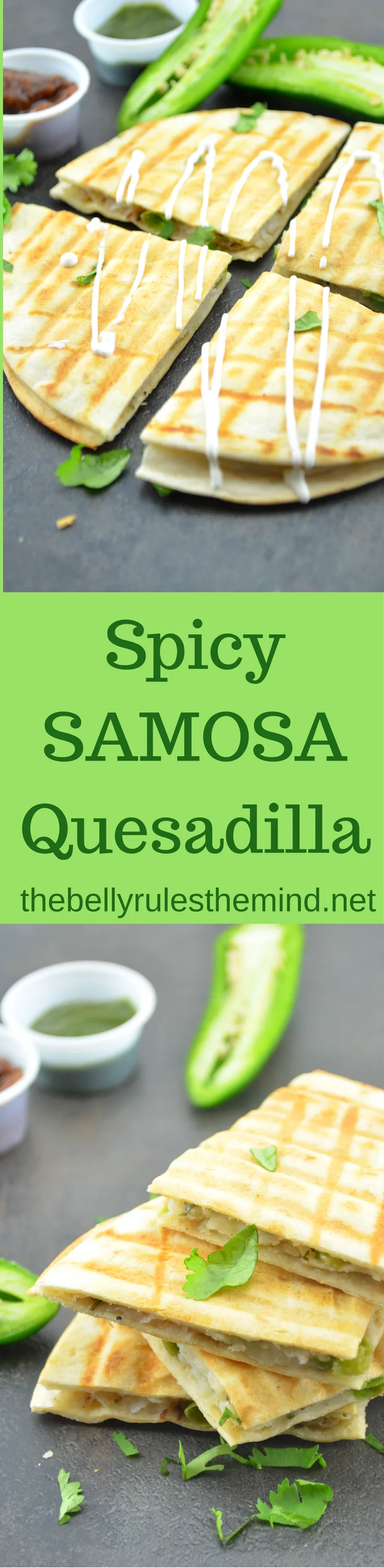 spicy-samosa-quesdillas