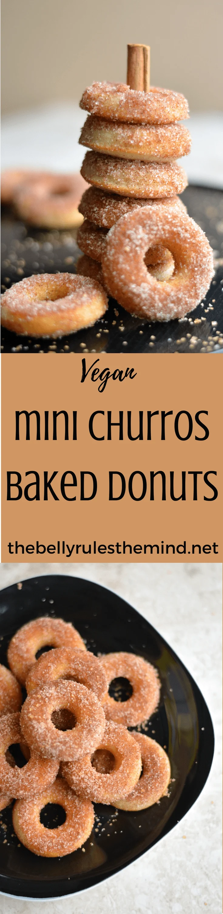 https://thebellyrulesthemind.net/wp-content/uploads/2018/03/mini-churros-baked-donuts.png.webp