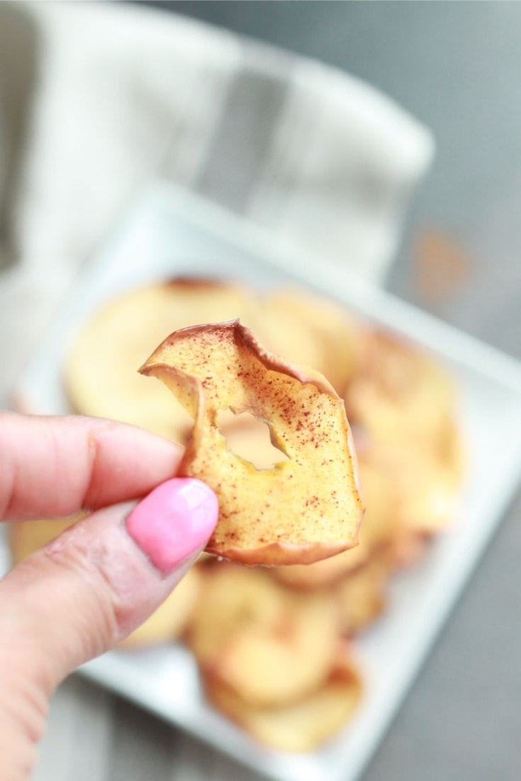 Air Fryer Apple Chips with Video TheBellyRulesTheMind
