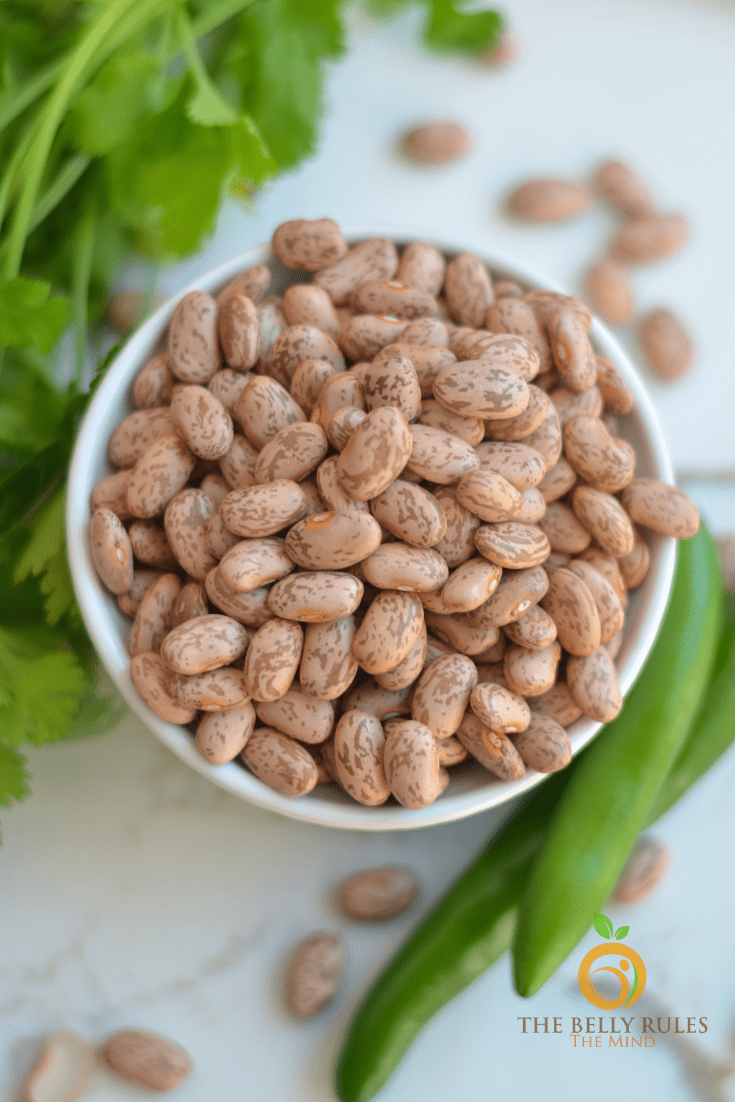 Instant pot best charro beans