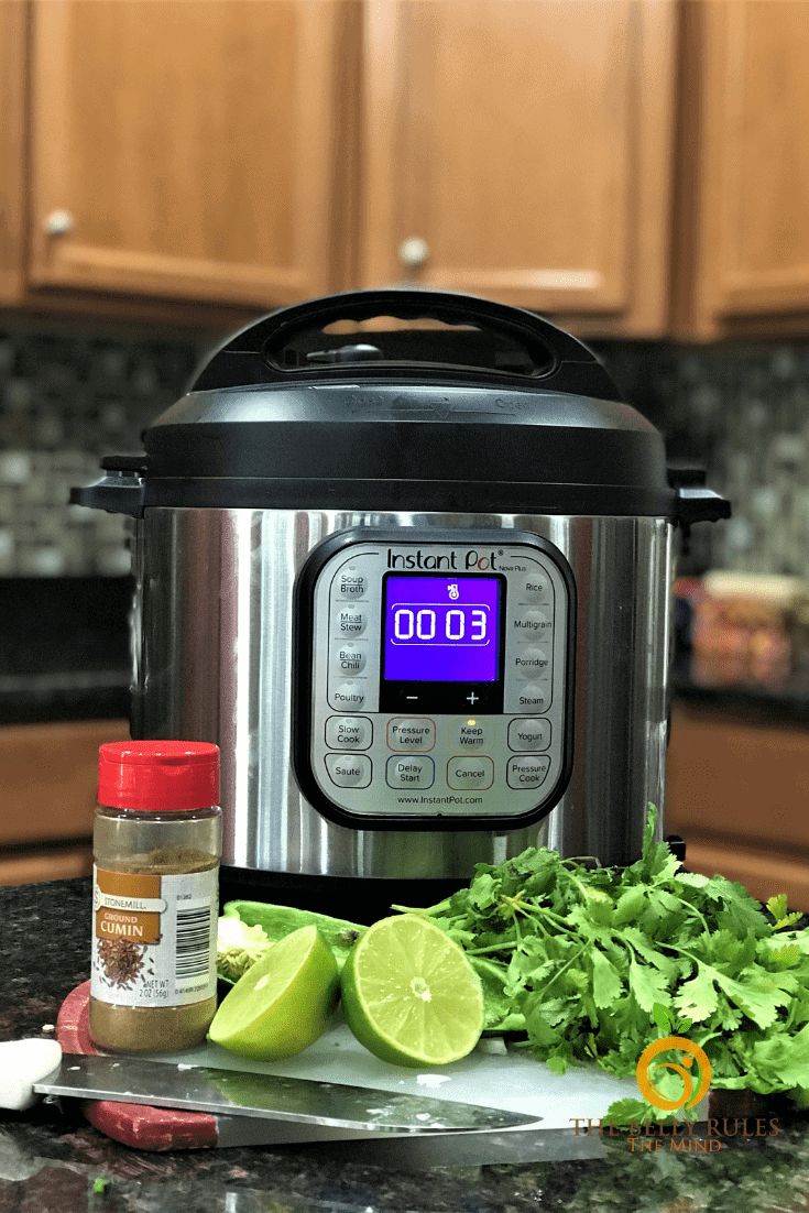 Is the Instant Pot worth it? The Belly Rules The Mind