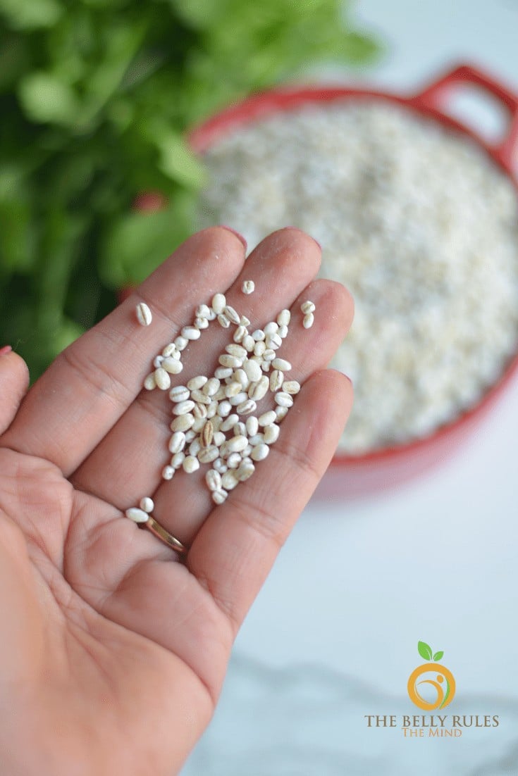 Instant pot vegetable barley soup (5)