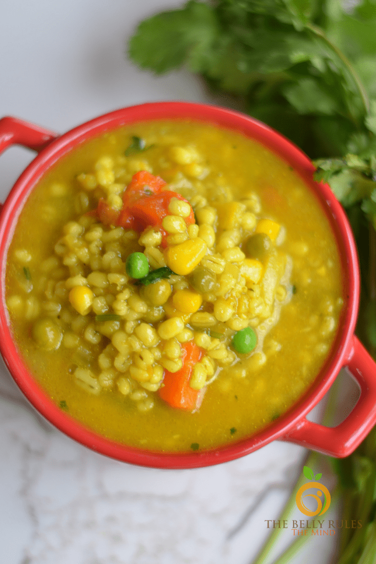 Instant pot vegetable barley soup