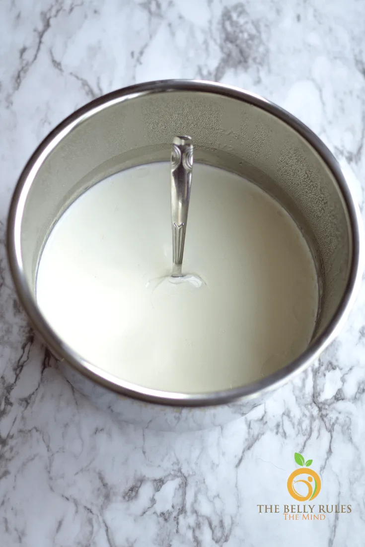 homemade yogurt recipe