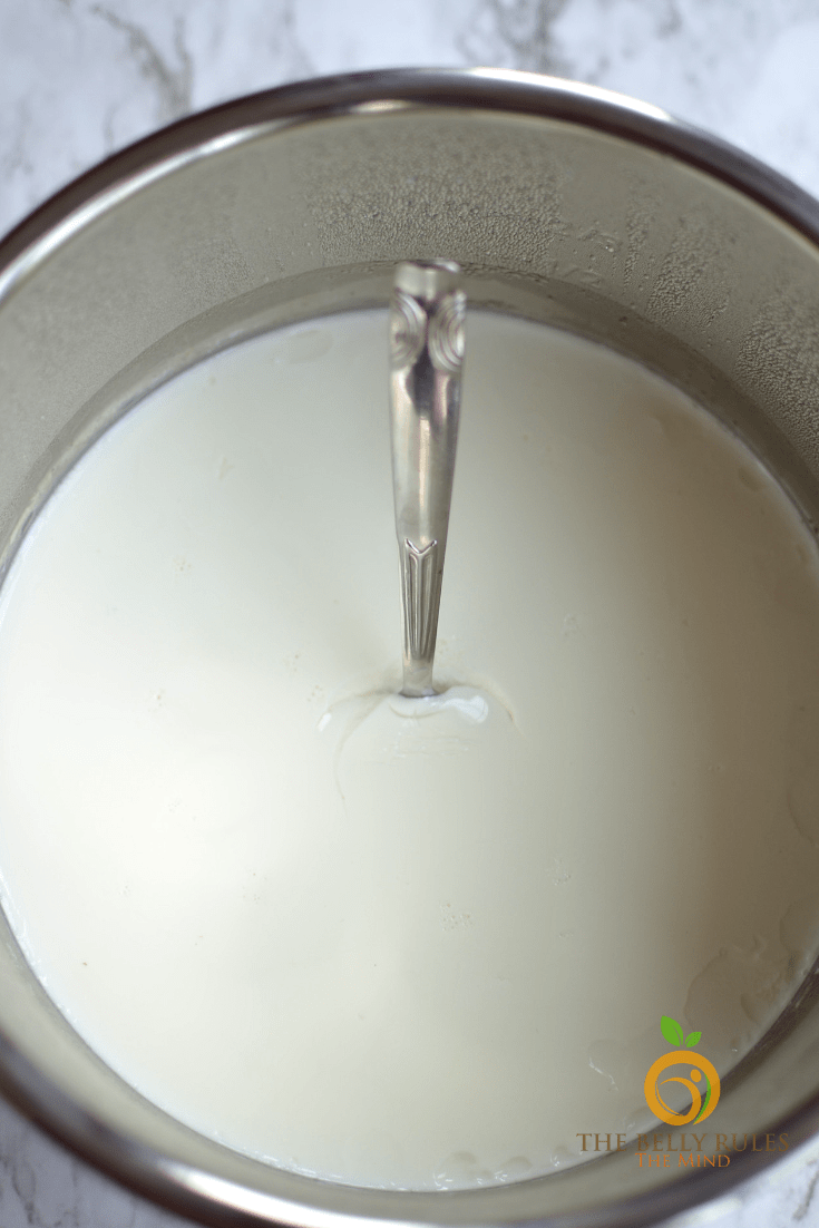 homemade yogurt recipe