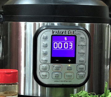 Is the instant-pot worth it?