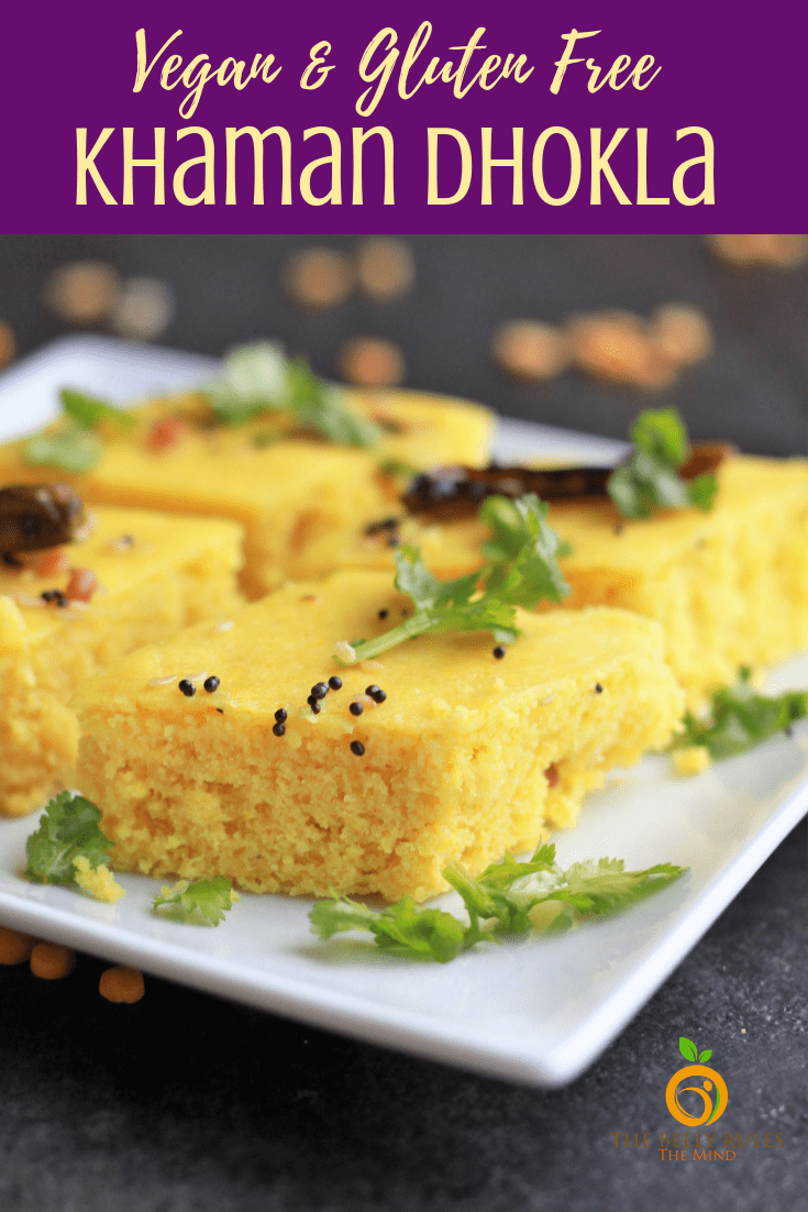 Instant Khaman Dhokla Authentic Gujarati Recipe BellyRulesTheMind