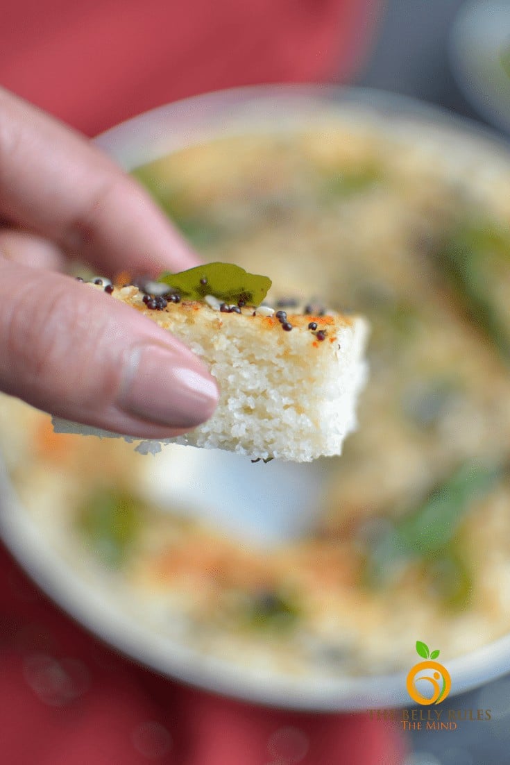 Homemade Instant Khatta Dhokla -White Dhokla
