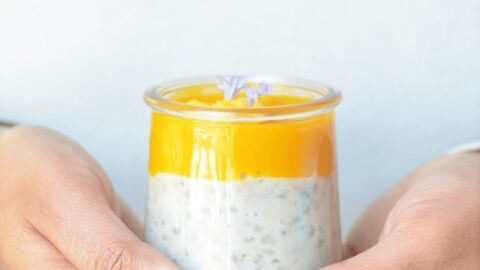 instant pot Tapioca pudding 1 Instant Pot Tapioca Pudding