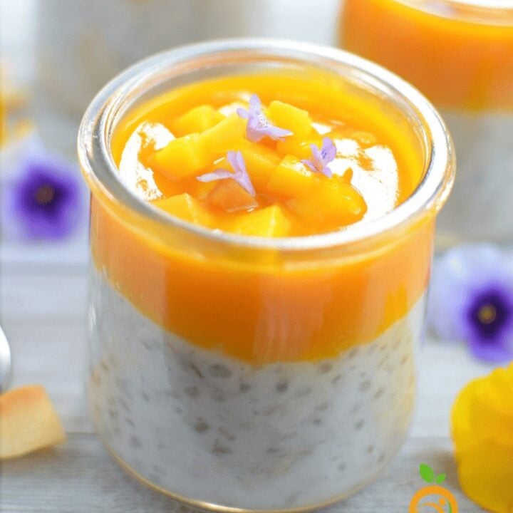 instant pot Tapioca pudding 5 e1726173407145 Belly Rules The Mind