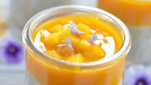 instant pot tapioca pudding 13 Instant Pot Tapioca Pudding