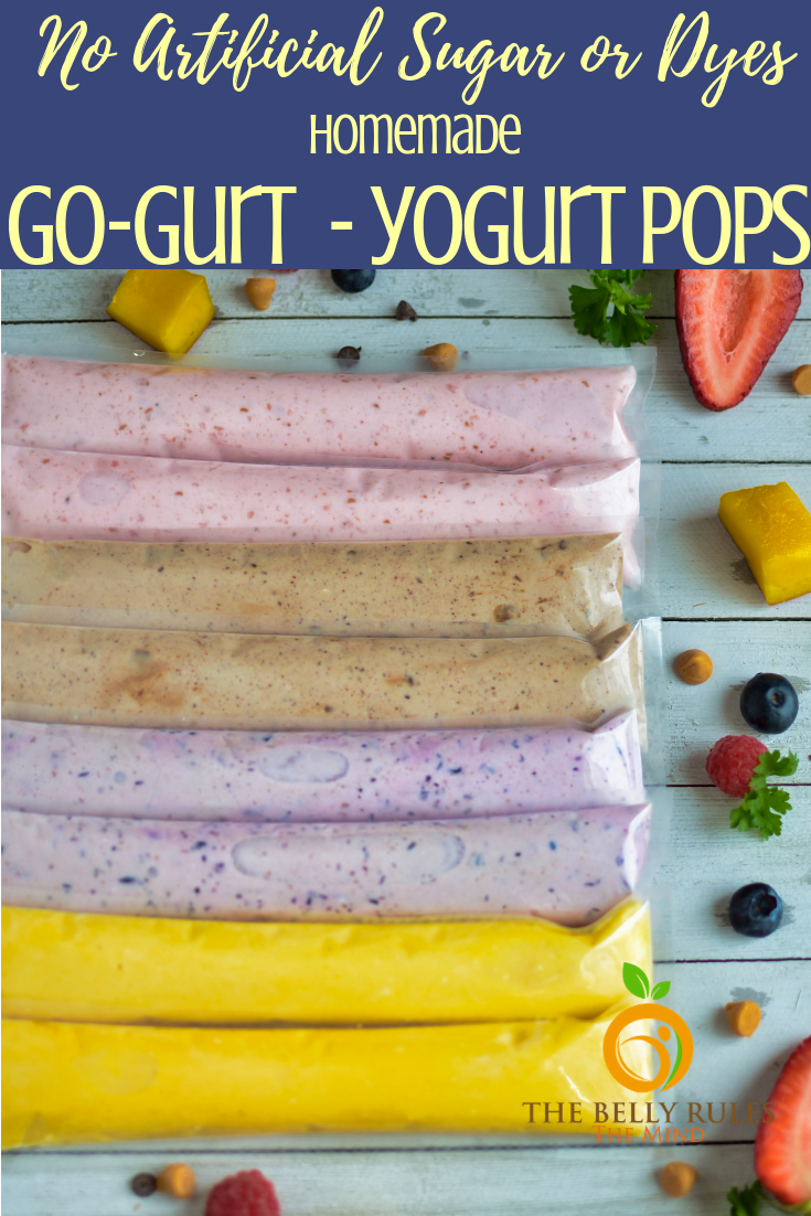 2 ingredients Homemade GO-Gourts/ yogurt pops