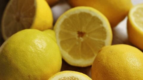 lemons for homemade lemonade recipe