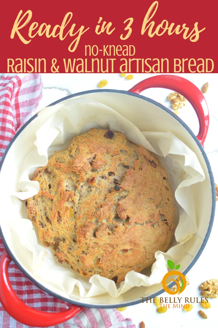 Raisin Walnut Bread Recipe - Artisan Bread in Five Minutes a Day