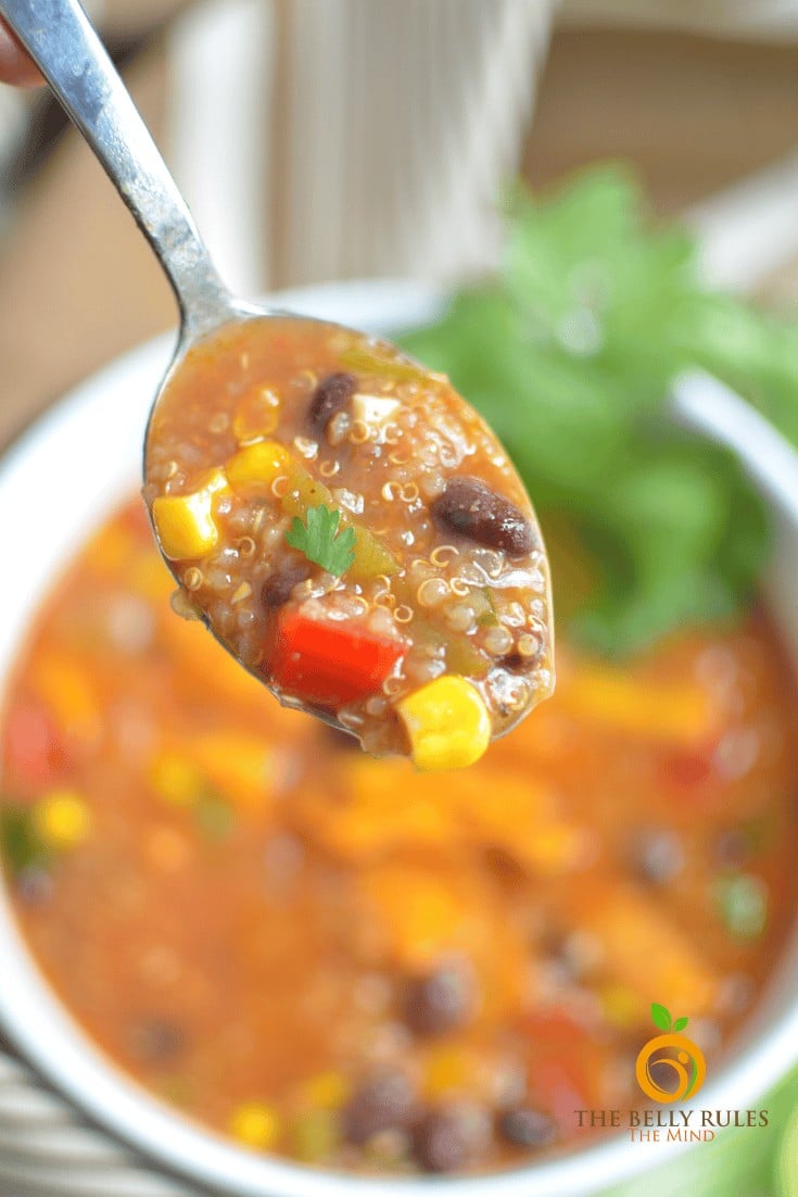 instant pot tortilla quinoa soup
