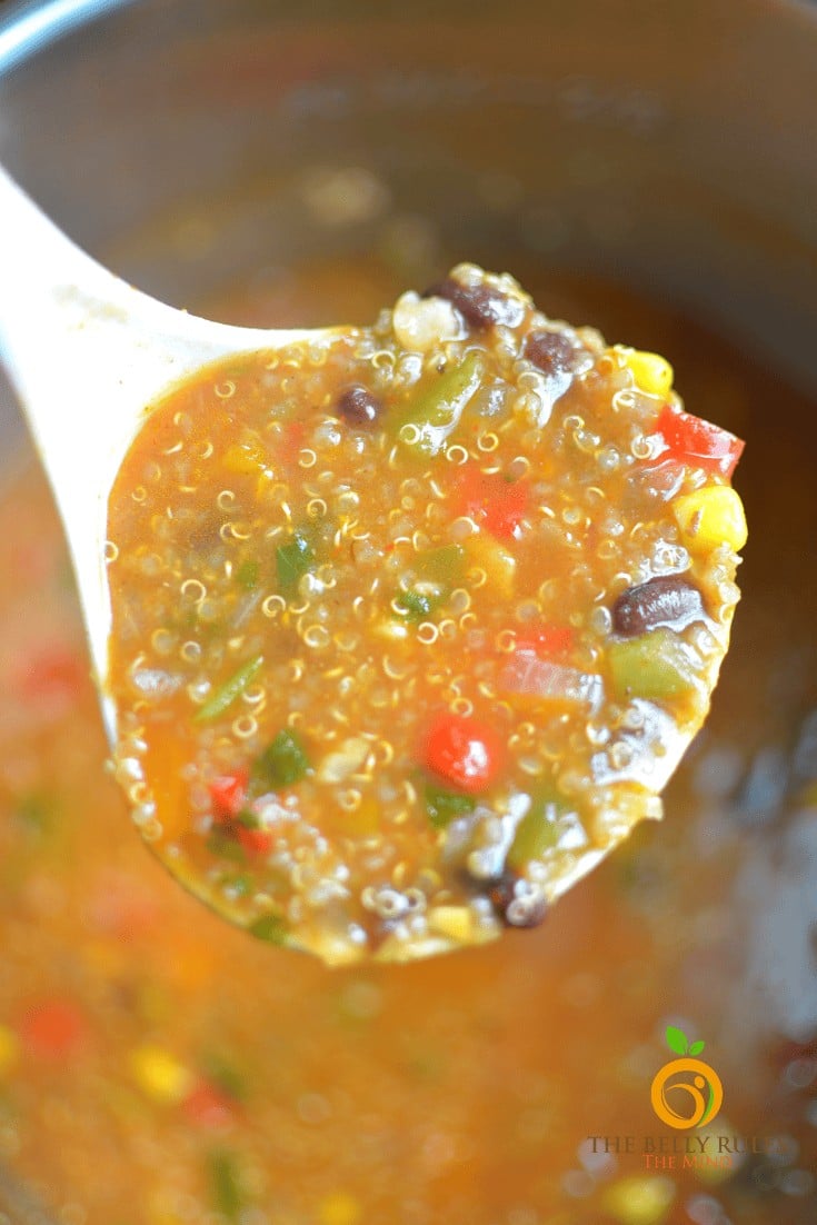 instant pot tortilla quinoa soup