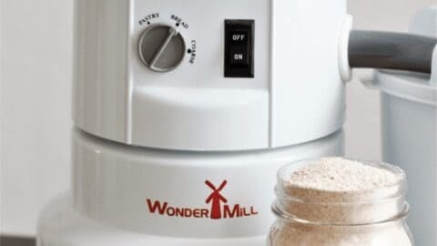 Whole Wheat Flour