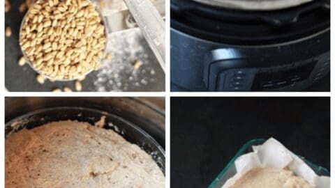 Whole Wheat Bread Recipe