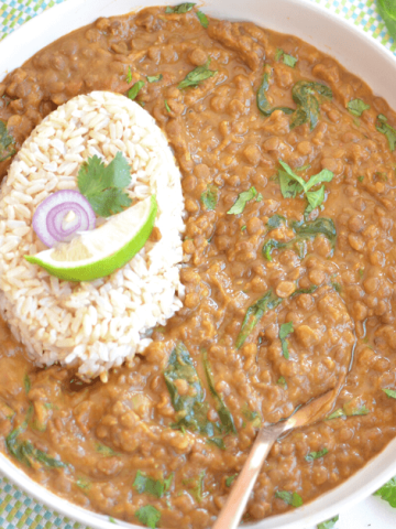 instant pot brown lentil curry