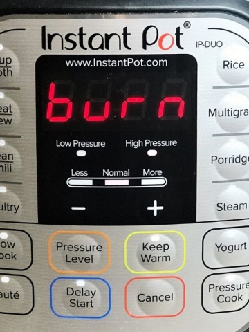 Instant Pot Says Burn