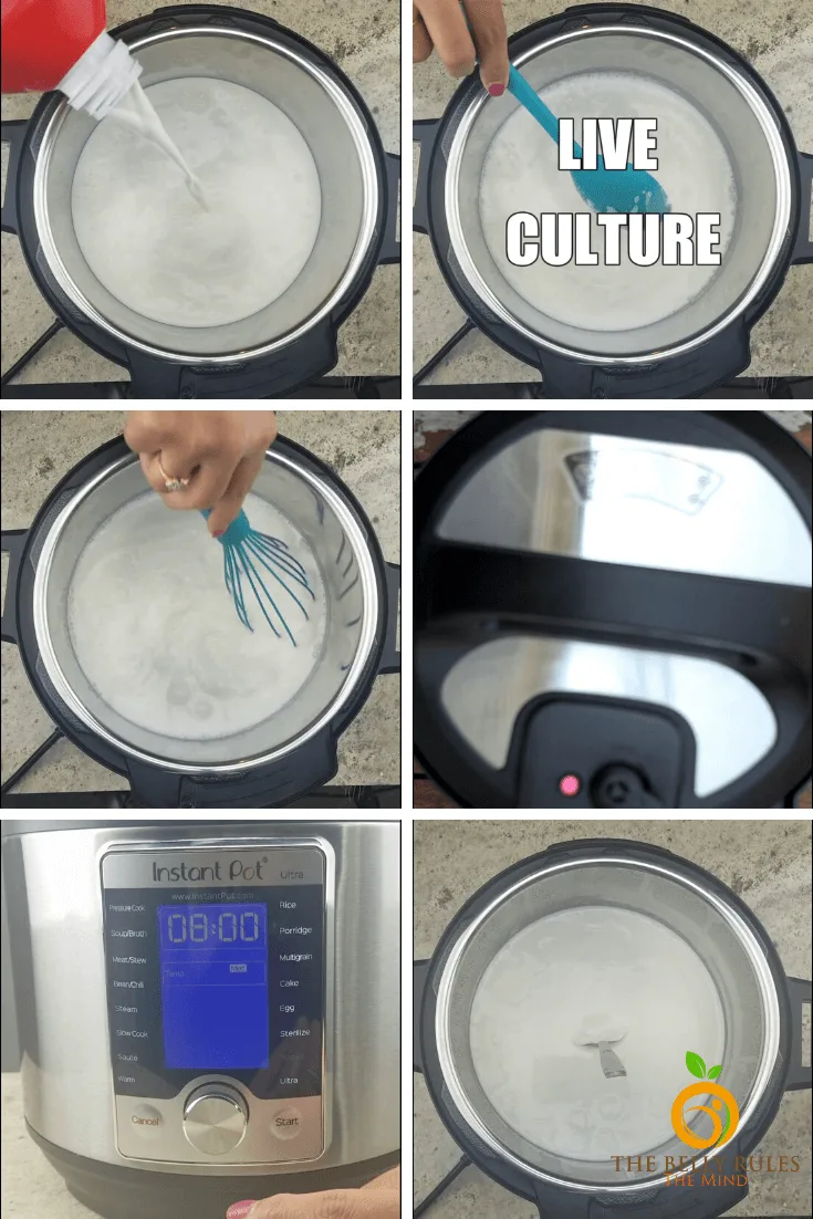 https://thebellyrulesthemind.net/wp-content/uploads/2019/12/Instant-pot-yogurt-step-by-step.png.webp