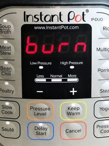 Instant Pot Says Burn