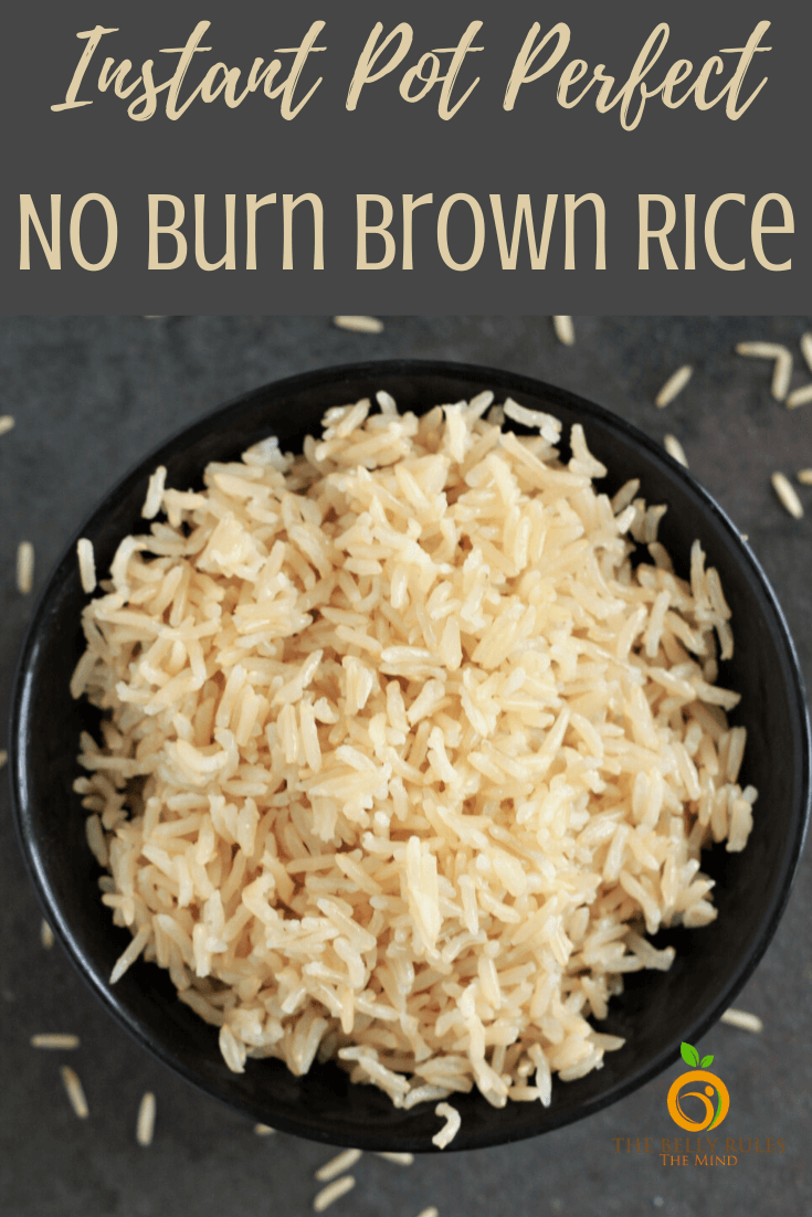 Instant Pot Brown Rice Recipe with Video | TheBellyRulesTheMind