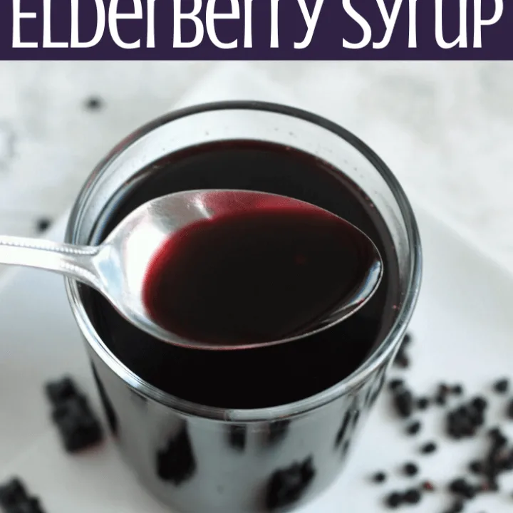 Elderberry Syrup Recipe