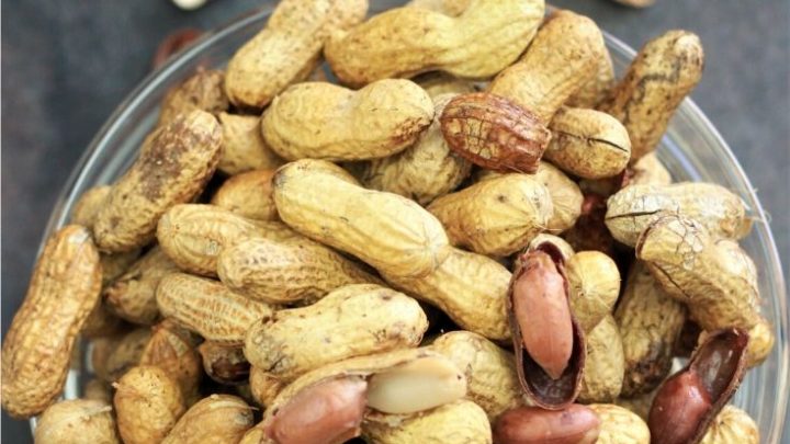 Instant Pot Boiled Peanuts Recipe