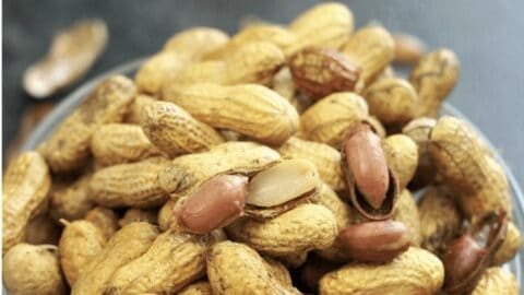 Instant Pot Boiled Peanuts Pin 3 Instant Pot Boiled Peanuts