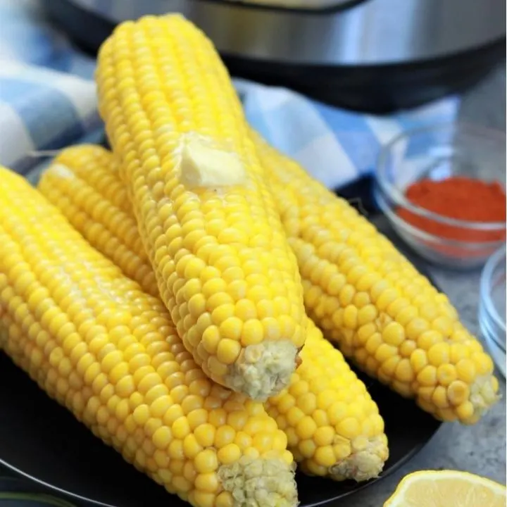 corn on the cob