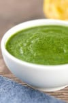 Green Chutney Recipe