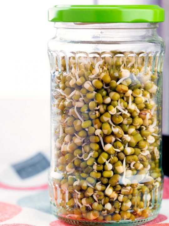 Storing Mung Beans Sprouts