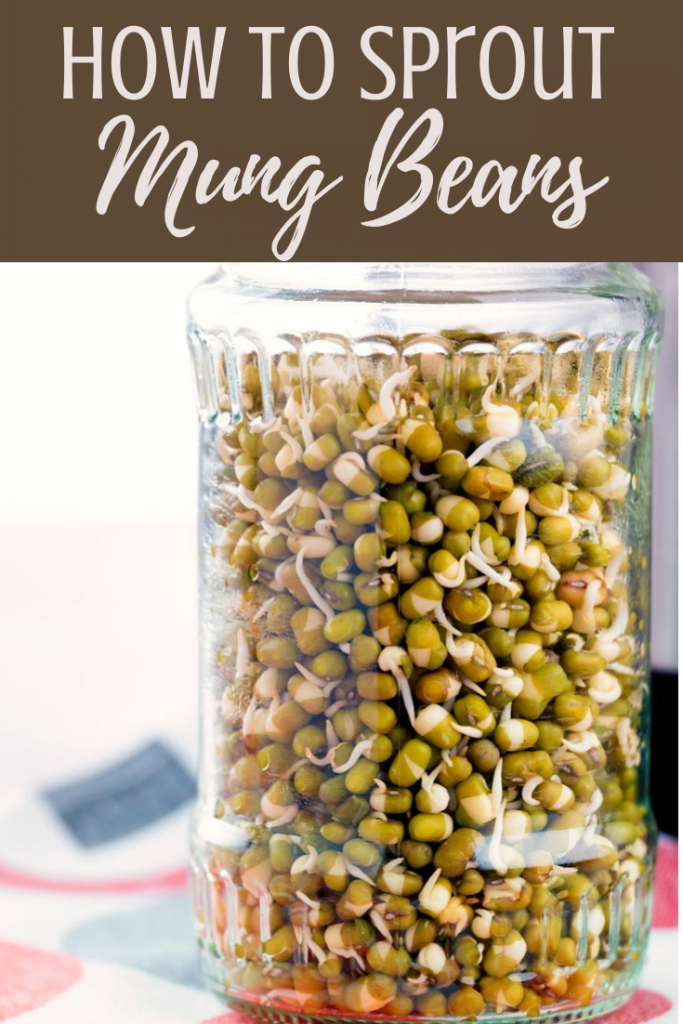 Mung bean sprouts recipe
