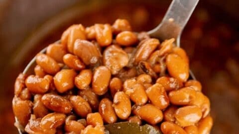 Instant pot pinto beans