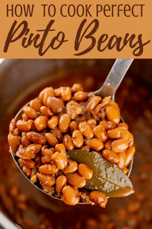 No Soak Instant Pot Pinto Beans TheBellyRulesTheMind