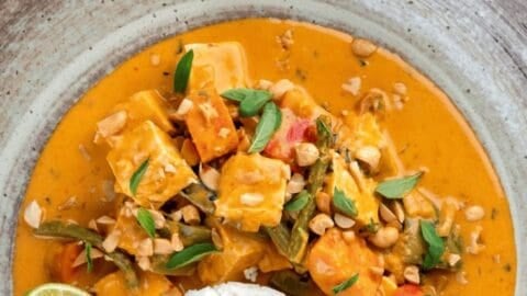 Thai panang curry , vegetable panang curry