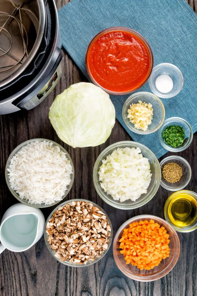 ingredients to make stuffed cabbage rolls