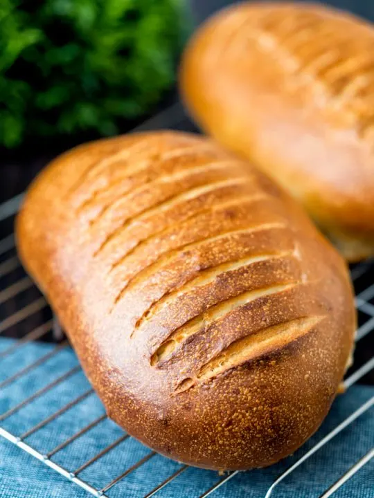 Homemade Italian Bread Recipe