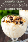 Arroz con leche / Mexican rice pudding / Spanish rice pudding