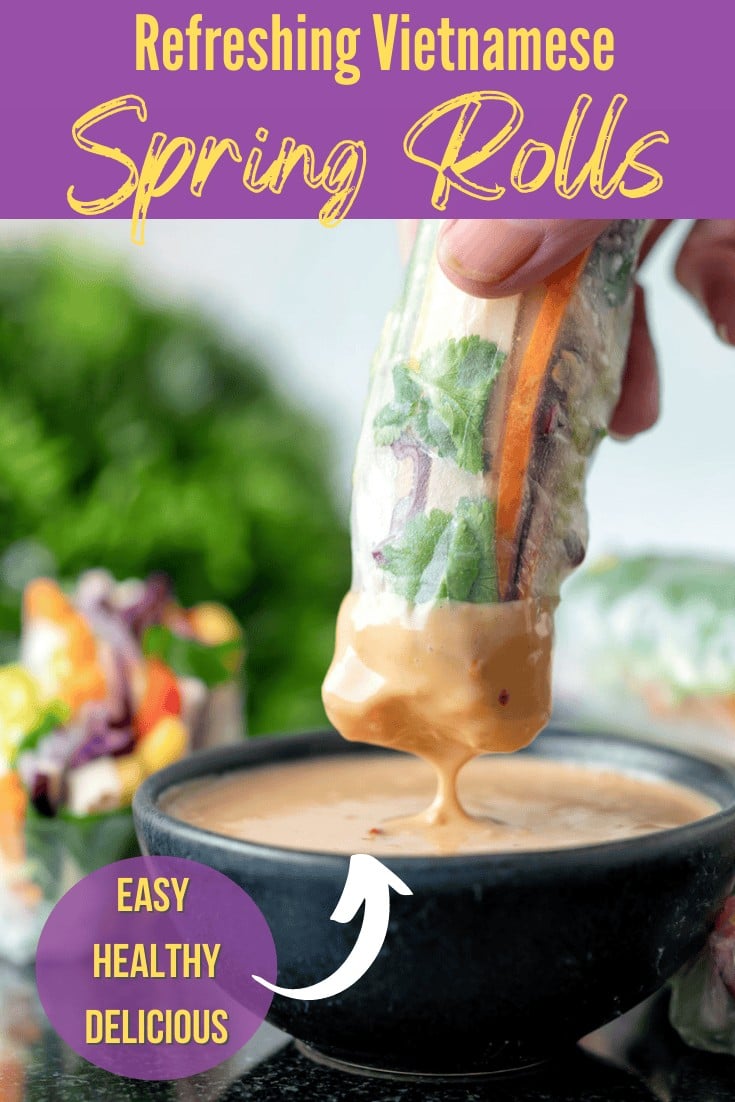 Vietnamese Spring Rolls Recipe