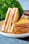 peanut butter jelly sandwich