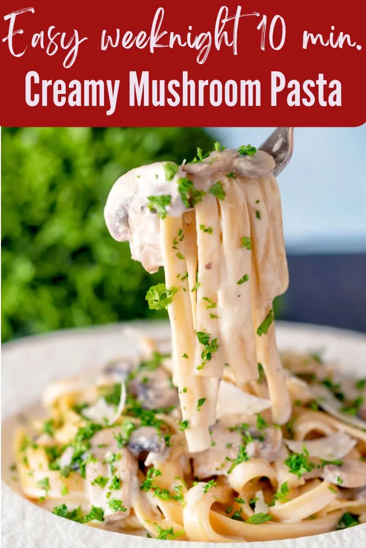 creamy mushroom pasta recipe