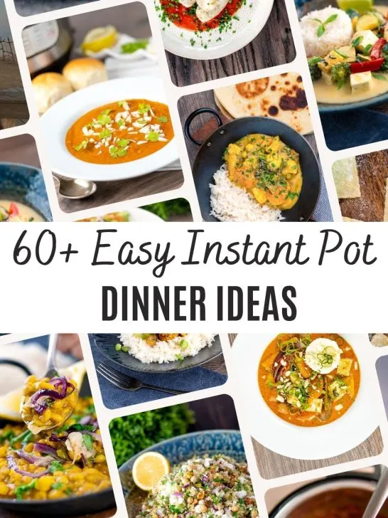 easy instant pot dinner recipes