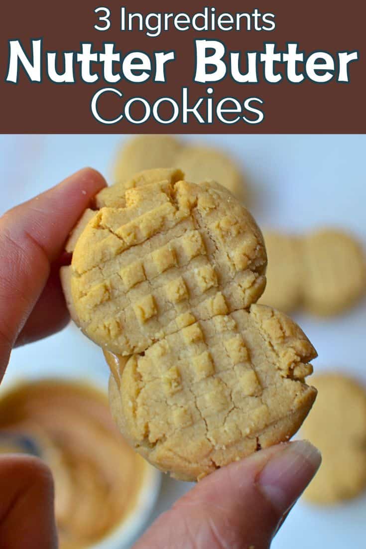 Nutter Butter Cookies Pin Image