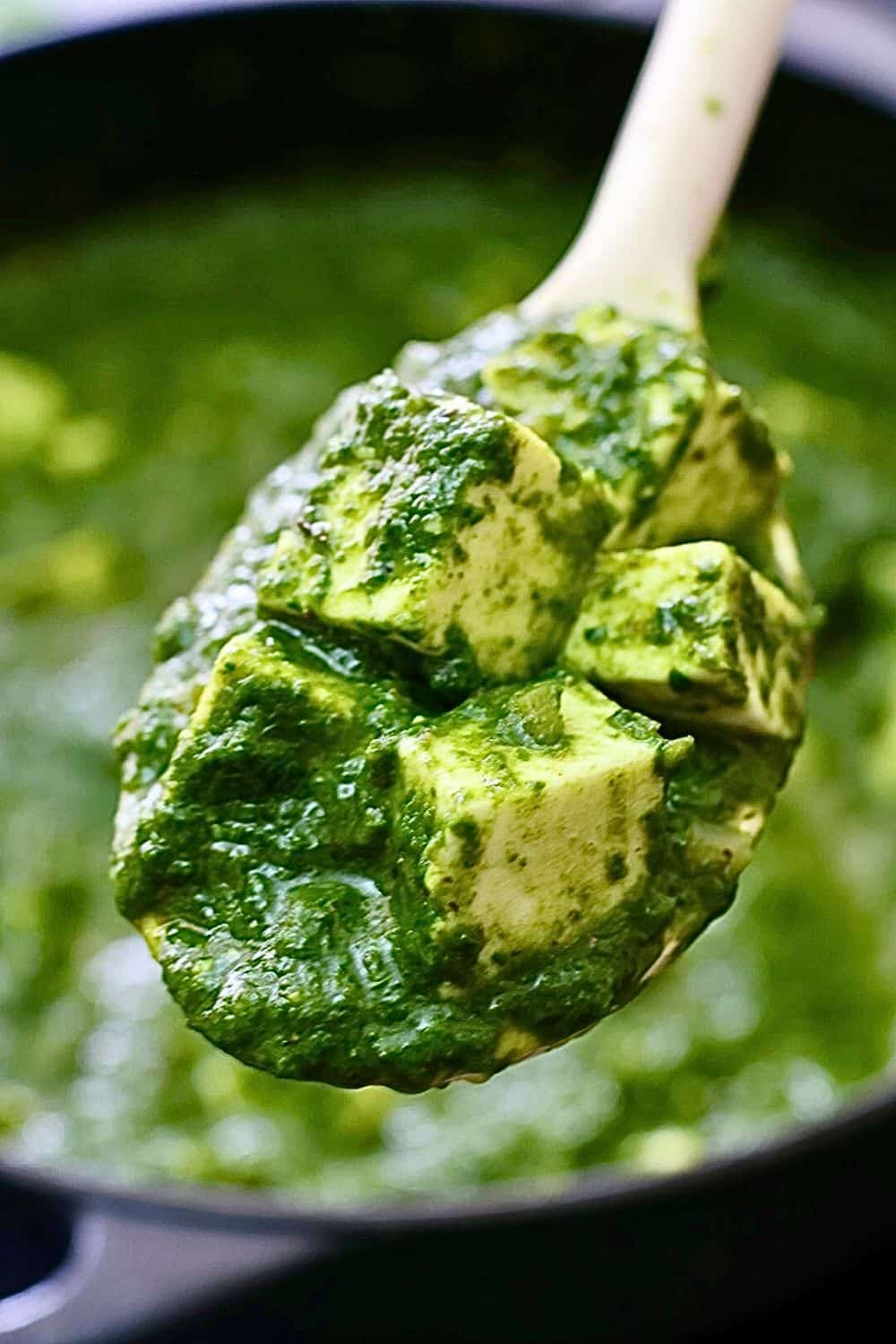 palak paneer